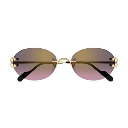 Lunettes Cartier  CT0551S-004