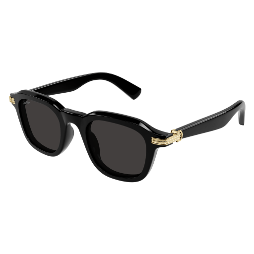 Lunettes de soleil  CT0536S-001