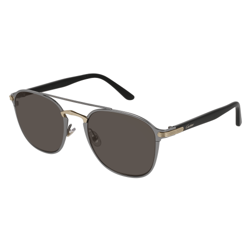 Lunettes de soleil CT0012S-004